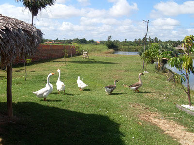 Delta Park 3*